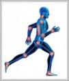 /album/fotogaleria/abogados-demandas-depuy-orthopaedics-protesis-articulaciones-jpg/